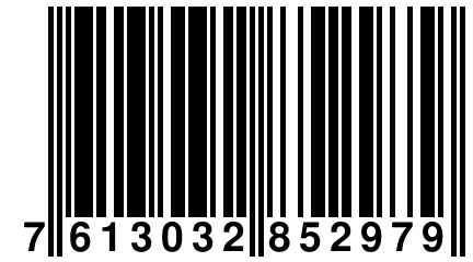 7 613032 852979