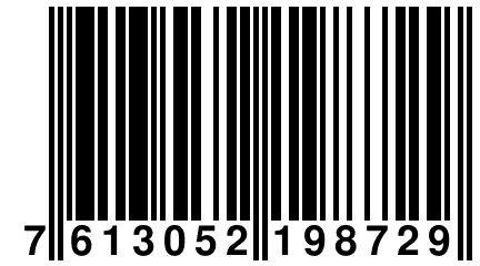 7 613052 198729