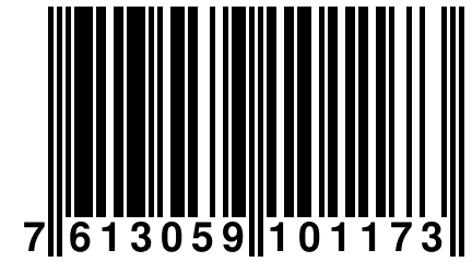 7 613059 101173