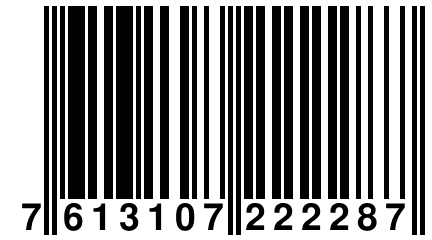 7 613107 222287