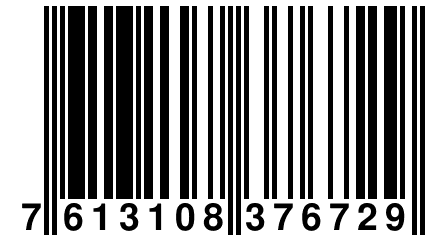 7 613108 376729