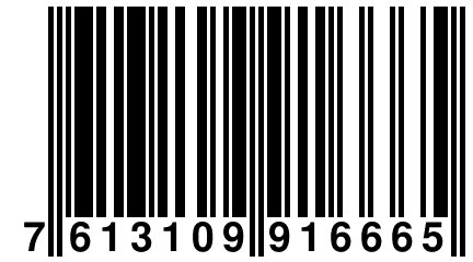 7 613109 916665