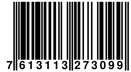 7 613113 273099