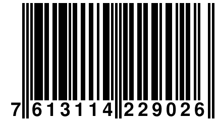 7 613114 229026