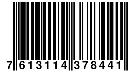 7 613114 378441