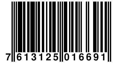 7 613125 016691