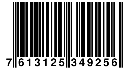 7 613125 349256