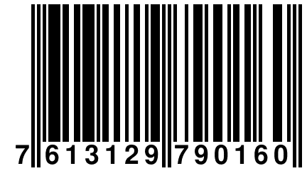 7 613129 790160