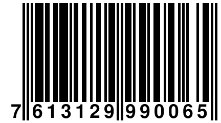 7 613129 990065