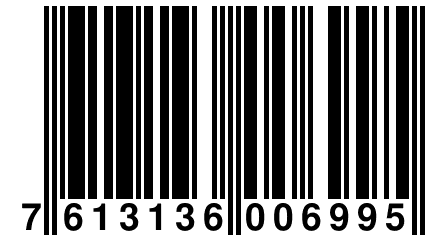 7 613136 006995