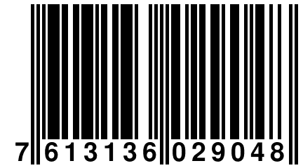 7 613136 029048