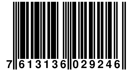 7 613136 029246