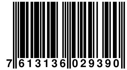 7 613136 029390