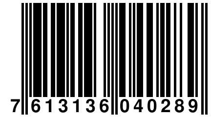 7 613136 040289