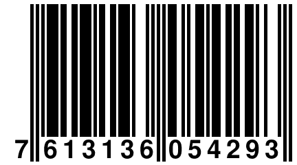 7 613136 054293