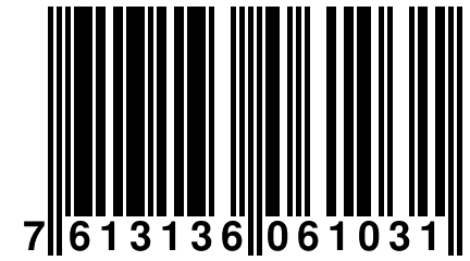 7 613136 061031