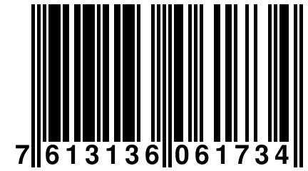 7 613136 061734