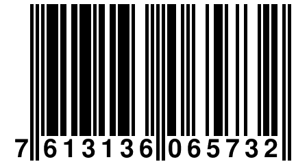 7 613136 065732