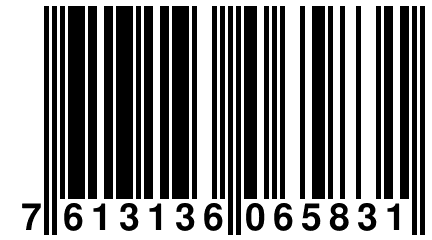 7 613136 065831