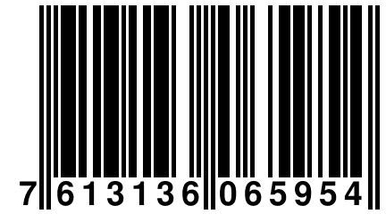 7 613136 065954