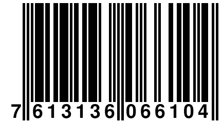 7 613136 066104