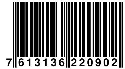 7 613136 220902