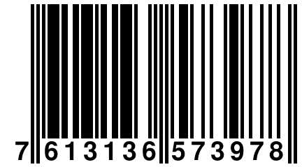 7 613136 573978