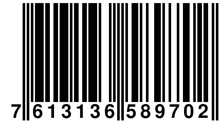 7 613136 589702