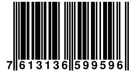 7 613136 599596