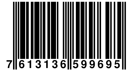 7 613136 599695