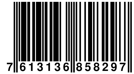 7 613136 858297