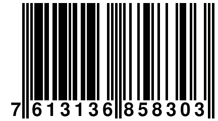 7 613136 858303