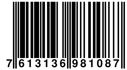 7 613136 981087