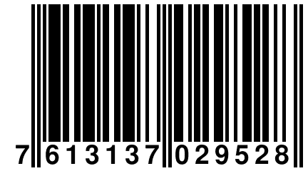 7 613137 029528