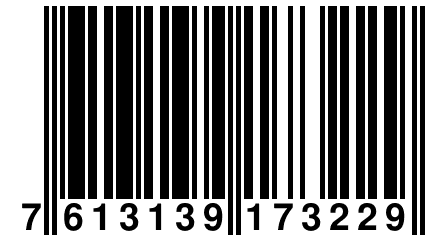 7 613139 173229