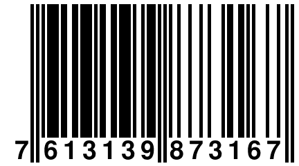 7 613139 873167