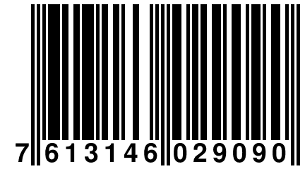 7 613146 029090