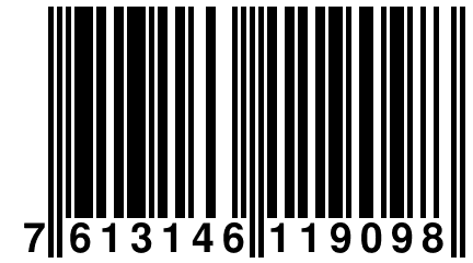 7 613146 119098