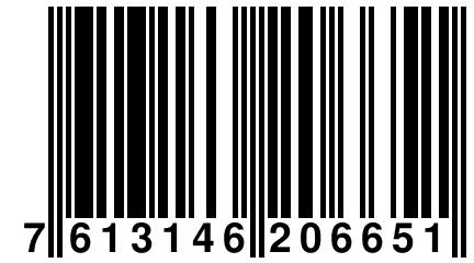 7 613146 206651