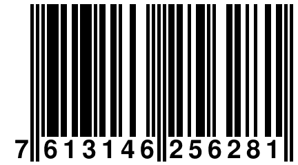 7 613146 256281