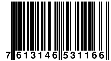 7 613146 531166