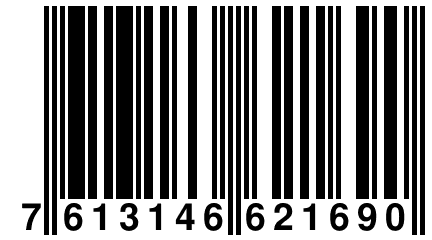 7 613146 621690