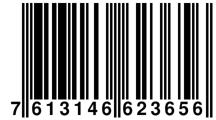 7 613146 623656