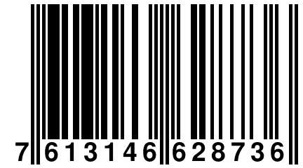 7 613146 628736