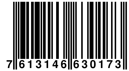 7 613146 630173