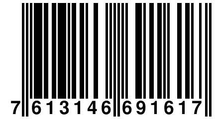 7 613146 691617