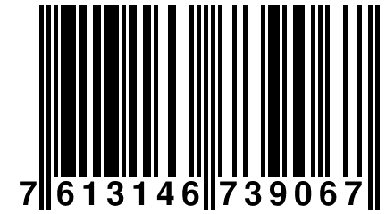 7 613146 739067