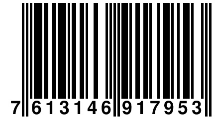 7 613146 917953