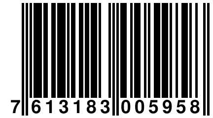 7 613183 005958