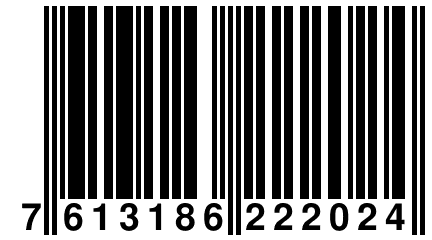 7 613186 222024